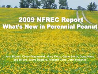 2009 NFREC Report What’s New in Perennial Peanut