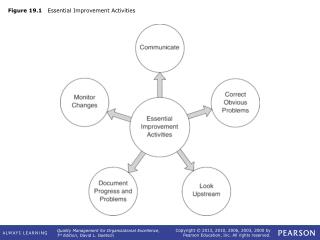 Figure 19.1 Essential Improvement Activities