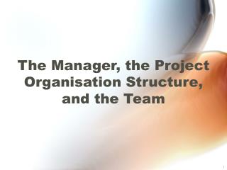 The Manager, the Project Organisation Structure, and the Team