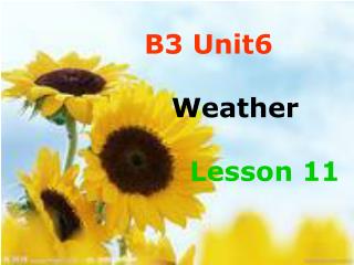 B3 Unit6 Weather Lesson 11