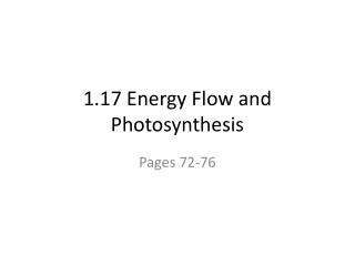 1.17 Energy Flow and Photosynthesis