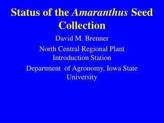 Status of the Amaranthus Seed Collection