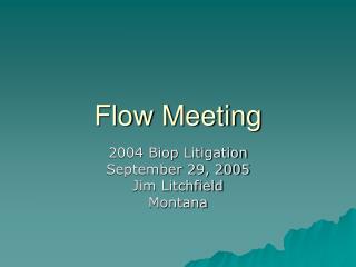 Flow Meeting