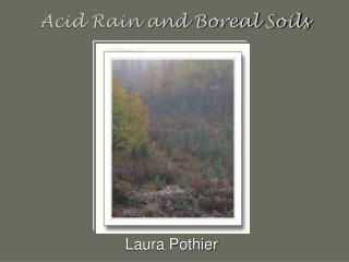 Acid Rain and Boreal Soils