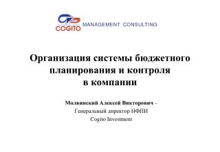 Организация системы бюджетного планирования и контроля в компании