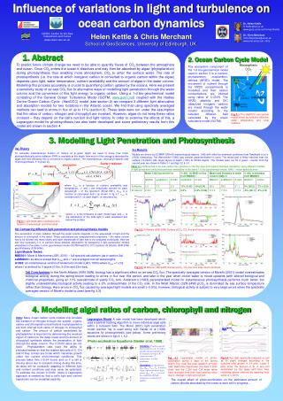 Influence of variations in light and turbulence on ocean carbon dynamics