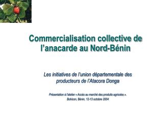 Commercialisation collective de l’anacarde au Nord-Bénin