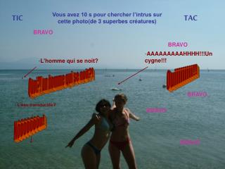 Vous avez 10 s pour chercher l’intrus sur cette photo(de 3 superbes créatures)