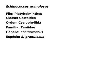 Echinococcus granulosus Filo: Platyhelminthes Classe: Cestoidea Ordem Cyclophyllida