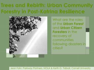 Trees and Rebirth: Urban Community Forestry in Post-Katrina Resilience