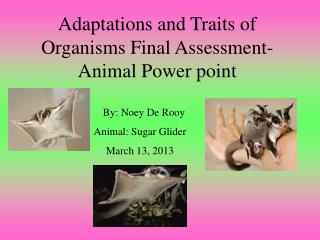 Adaptations and Traits of Organisms Final Assessment-Animal Power point