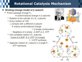 Rotational Catalysis Mechanism