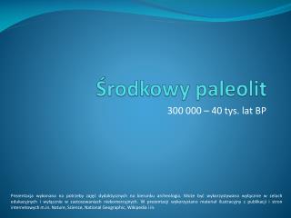 Środkowy paleolit