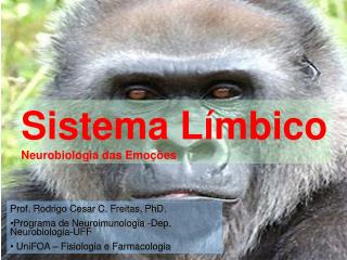 Sistema Límbico Neurobiologia das Emoções