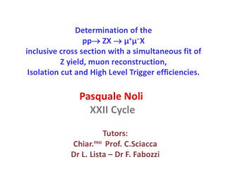 Pasquale Noli XXII Cycle