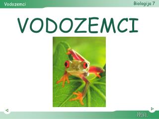 VODOZEMCI