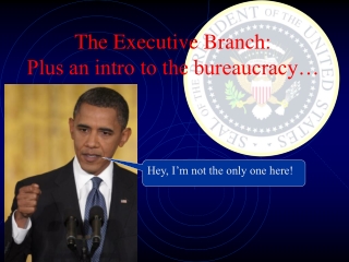 The Executive Branch: Plus an intro to the bureaucracy…