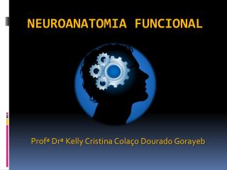 Neuroanatomia funcional