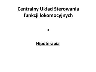 Centralny Układ Sterowania funkcji lokomocyjnych