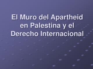 El Muro del Apartheid en Palestina y el Derecho Internacional