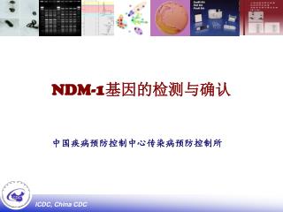 NDM-1 基因的检测与确认