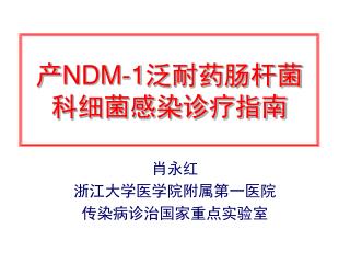 产 NDM-1 泛耐药肠杆菌科细菌感染诊疗指南