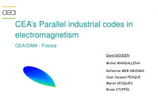CEA’s Parallel industrial codes in electromagnetism CEA/DAM - France