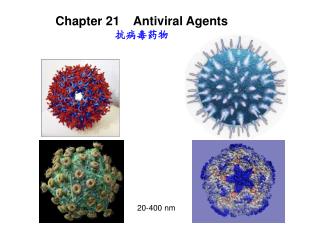 Chapter 21 Antiviral Agents 抗病毒药物