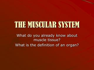 THE MUSCULAR SYSTEM