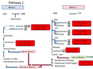 P athway 1