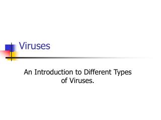 Viruses