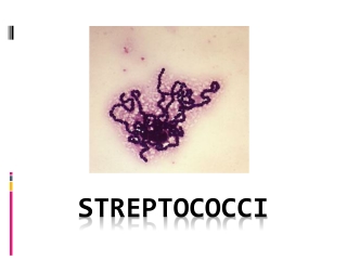 Streptococci
