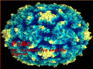 Polio