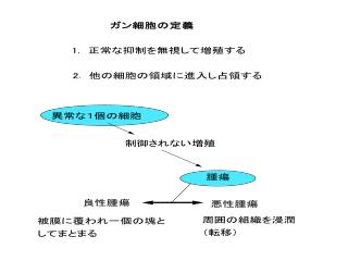 AOM-DC 誘発大腸ガンモデルラット