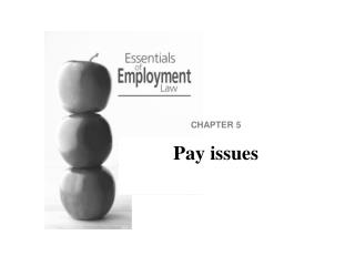 CHAPTER 5 Pay issues