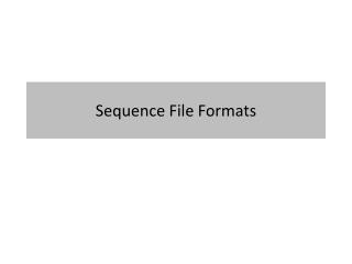 Sequence File Formats