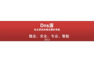 Dns盾 自主研发的 域名解析系统 稳定、安全、专业、智能 201 3