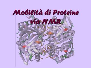Mobilità di Proteine via NMR