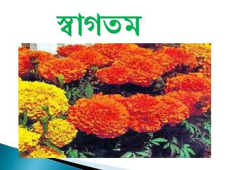 স্বাগতম