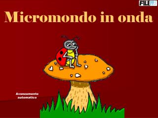 Micromondo in onda