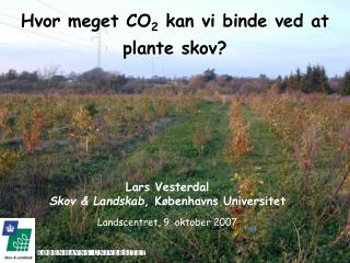 Hvor meget CO 2 kan vi binde ved at plante skov?