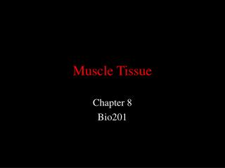 Muscle Tissue