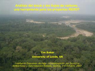 Análisis del stock y los flujos de carbono, una herramienta para los proyectos REDD?