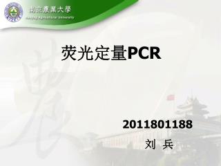 荧光定量 PCR