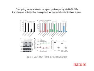 S Li et al. Nature 000 , 1-5 (2013) doi:10.1038/nature12436