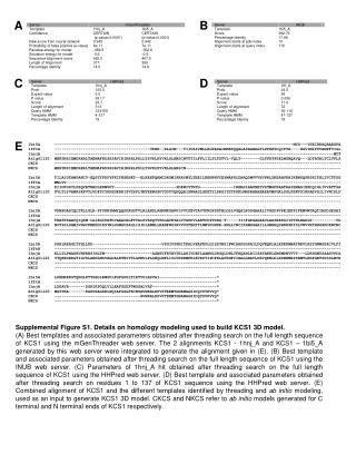 Supplemental Figure S1. Details on homology modeling used to build KCS1 3D model.