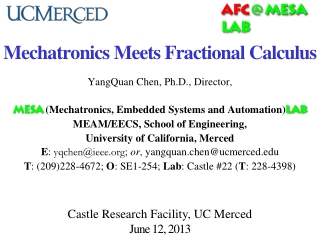 Mechatronics Meets Fractional Calculus