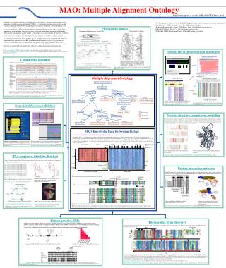 MAO: Multiple Alignment Ontology