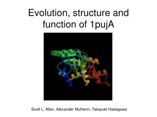 Evolution, structure and function of 1pujA