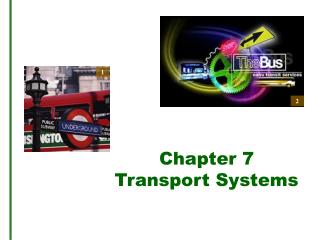 Chapter 7 Transport Systems